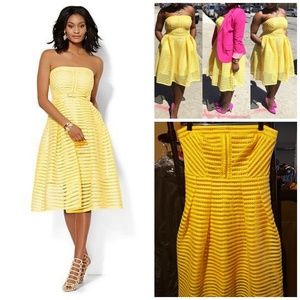 Strapless Striped Mesh Dress